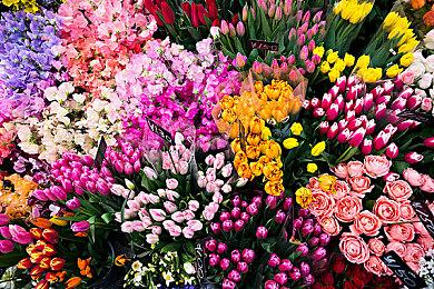 《生化危机5》威斯克扮演者肯拉利去世 享年52岁