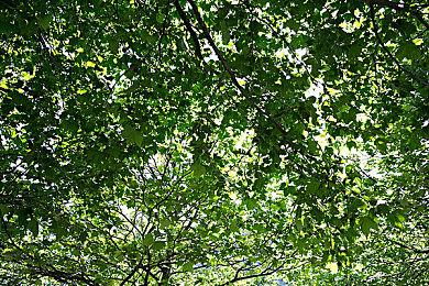 英国周榜：《地平线：西之绝境》同捆版助其重回巅峰